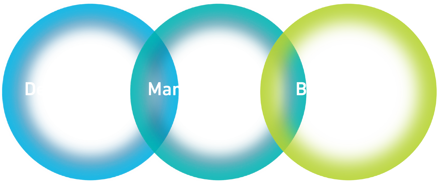 Design, Manufacture, Build