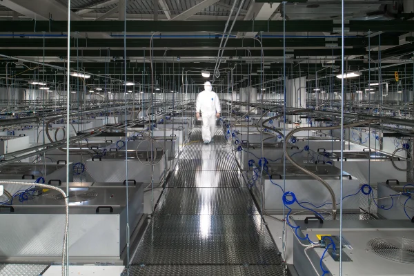 imgi_2_FAMRC-Clean-Room-Walkable-Lid-Grand-Pano-with-Lifestyle-_-crop